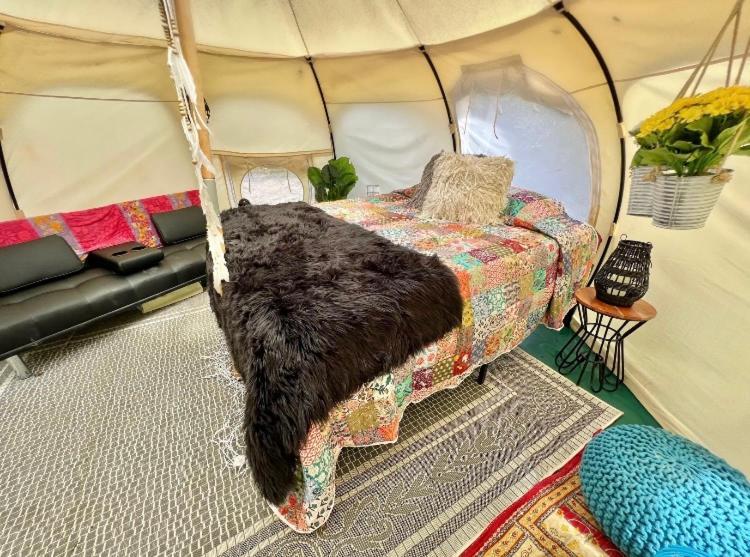 The Aries-A Stargazing, Luxury Glamping Tent Rogersville Buitenkant foto